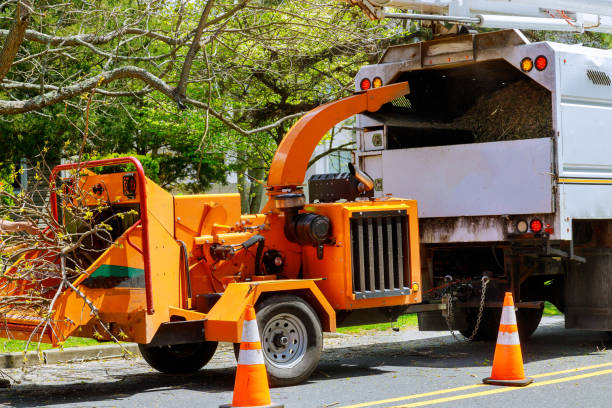 Best Utility Line Clearance  in Waldo, FL